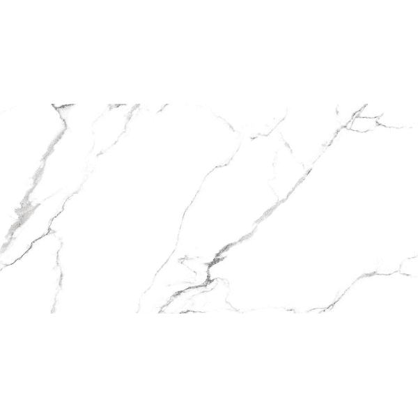 ג. פורצלן 60X120 מבריק WHITE MICKINLEY