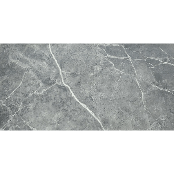 ג. פורצלן  GREY TOXIC carving 60X120