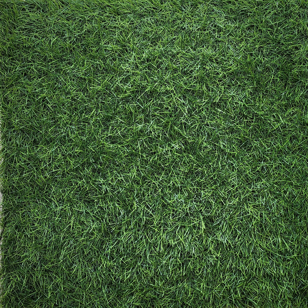 דשא סינטטי ירוק 38 מ"מ         רוחב 4 מטר (המחיר הוא למ"ר)